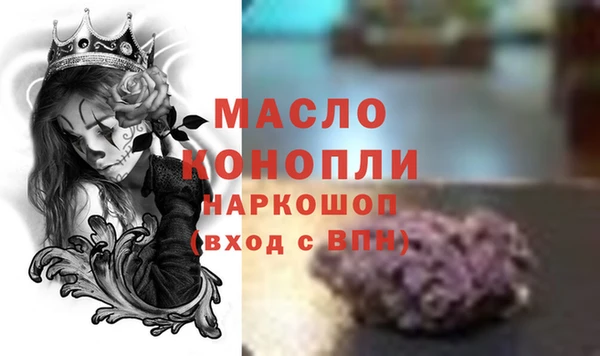 гидра Гусев