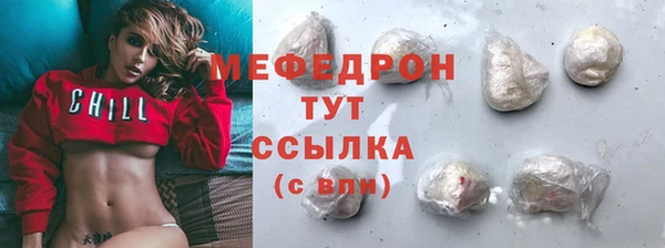гидра Гусев