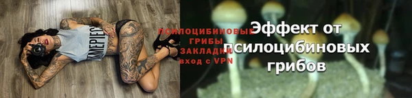экстази Гусь-Хрустальный