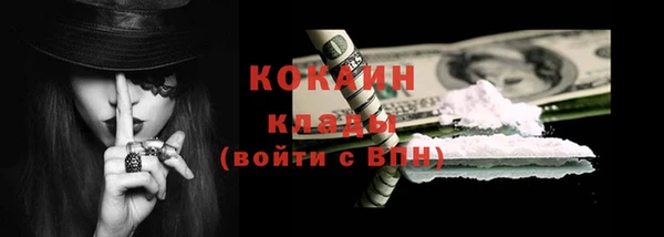 гидра Гусев