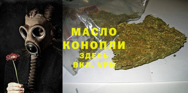 гидра Гусев