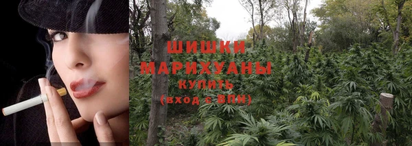 mdpv Гусиноозёрск