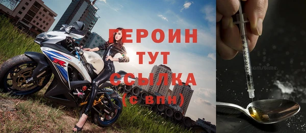 гидра Гусев