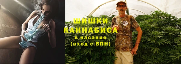 экстази Гусь-Хрустальный