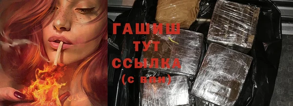 гидра Гусев