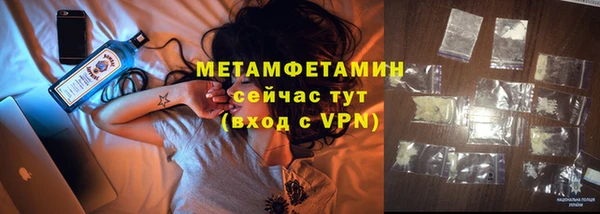 гидра Гусев