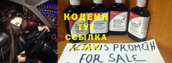 гидра Гусев